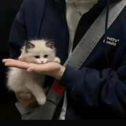 青烟绕指柔&