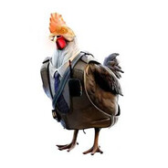Chicken