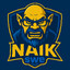 NAIKswe