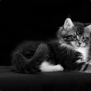 Niko