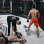 SIBIR_54