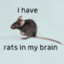 Johnny Rat Brain