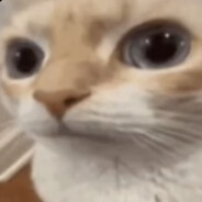 ? - steam id 76561199806769637