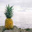 Onotic Pineapple