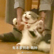 爱意随风起