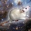 Space Rat