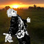 Vonks_