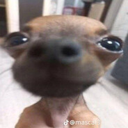 Валера запчасти