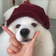 一觉睡到大后天