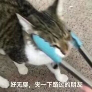 揣着大电打小电