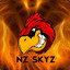 Nz Skyz