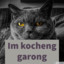 Kocheng Garong