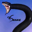 psn_serpientex