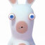 rabbid fan