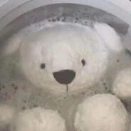 圣彼得堡的烤肉大盗