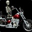 motorcycle skeleton