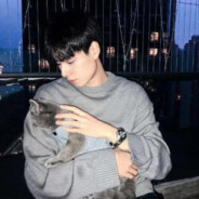 我站在这里看你爱别人