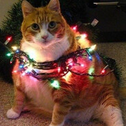 Зорька Новогодни