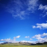 罪戾终成悻然的孽