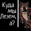 А куда мы лезем?