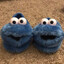 give me ur cookies