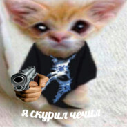 m - steam id 76561199069068822