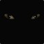 dark.33