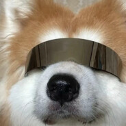 翻斗花园第一摆子