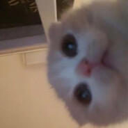 榴莲味的三文鱼