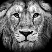 The Lion