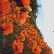 Цветочек для брат