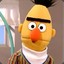 bert