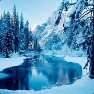Winter_TOP