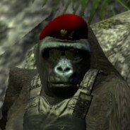 gorilla warfare