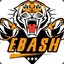 EBASHh1™