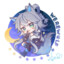 流星停留的俩秒