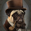 Mr. Pug