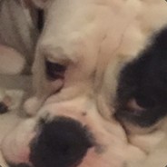 Corndogman