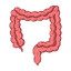00 | Intestino Grueso