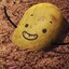 Amazing Potato