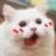 #include<bits/stdc++.h>