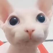 Tom