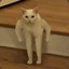 silverpoop