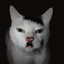 kitler