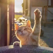 那个女孩爱撒娇