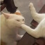 鼠条