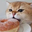 Ovenn