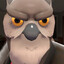 Sir Hooty Shooty [TM6]
