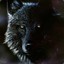 BlackWolf