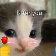 风吹散了时光的沙